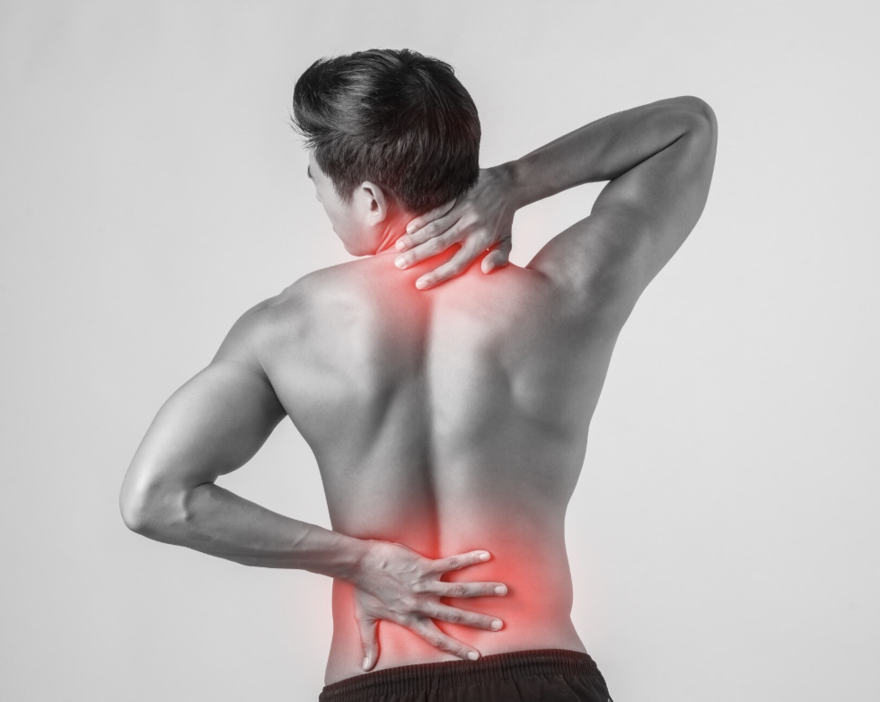 Back and Musculoskeletal pain