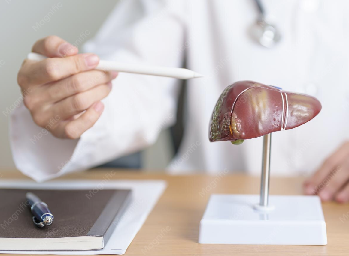 Liver Function Blood Test