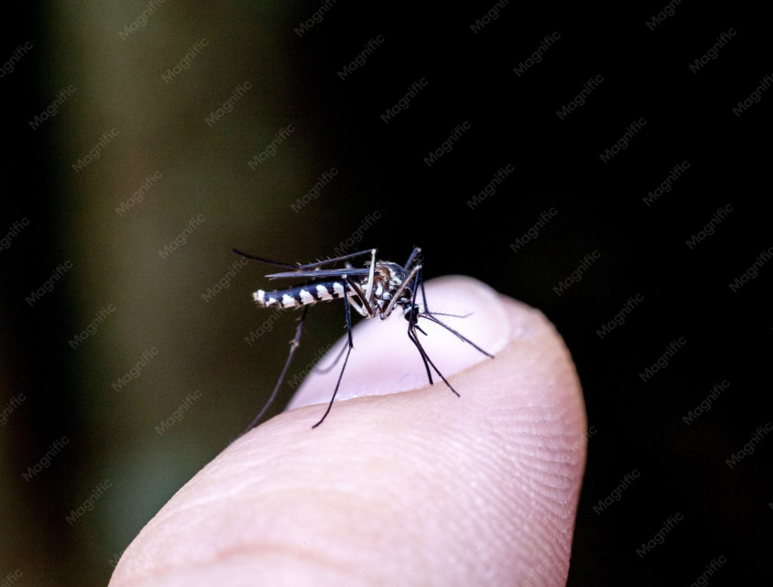 Malaria – Mefloquine